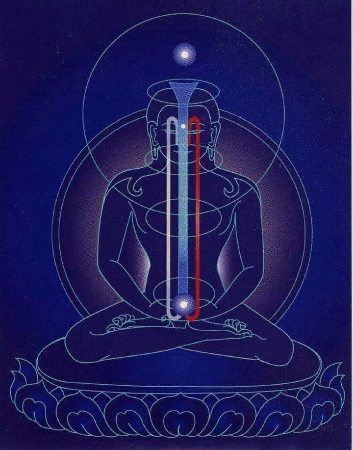 Yoga Nidra: Pratica secondo il metodo originale di Swami Satyananda Saraswati 2 Yoga nidra