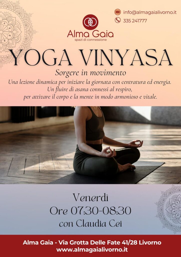 yoga vyniasa